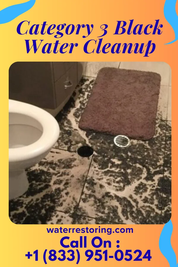 Category 3 Black Water Cleanup in Reading, OH