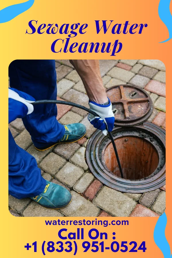 Sewage Water Cleanup in Reading, OH