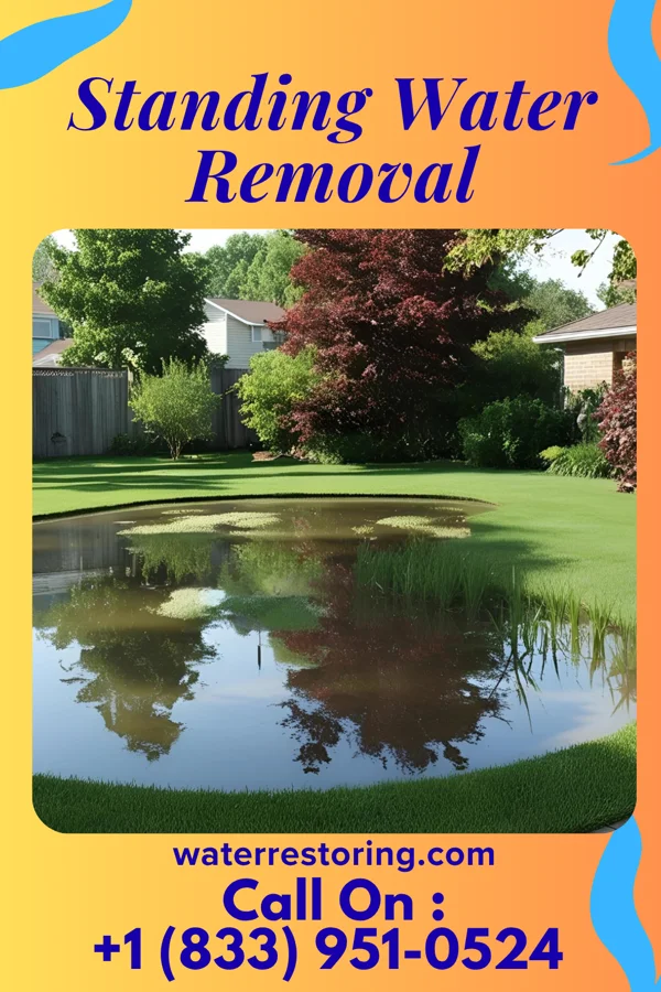 Standing Water Removal in Reading, OH